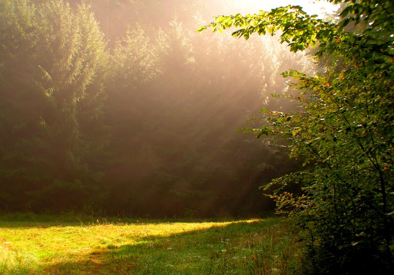 Czechia - trekking in Kokořínsko 19