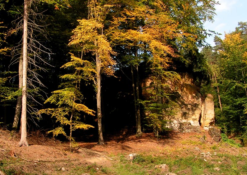 Czechia - trekking in Kokořínsko 20