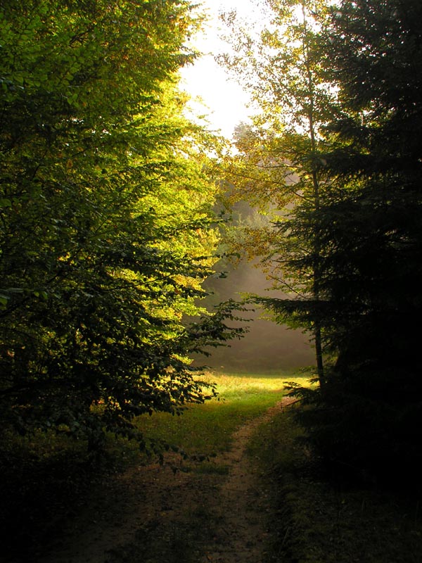 Czechia - trekking in Kokořínsko 38