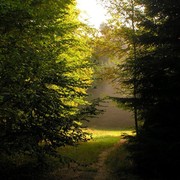 Czechia - trekking in Kokořínsko 38