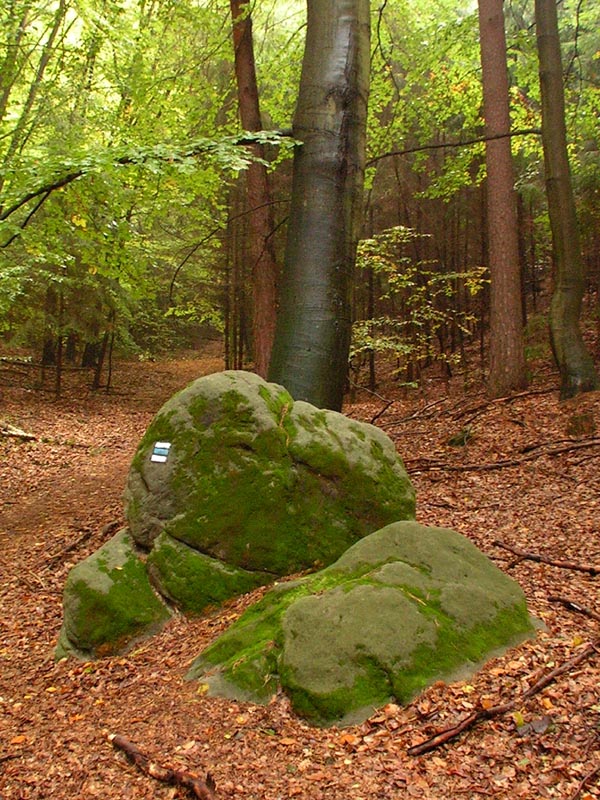 Czechia - trekking in Kokořínsko 43