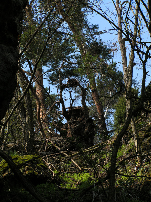 Czechia - Climbing in Kozelka 157