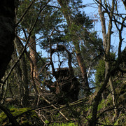 Czechia - Climbing in Kozelka 157