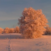 Slovakia (Slovensko) travel photos