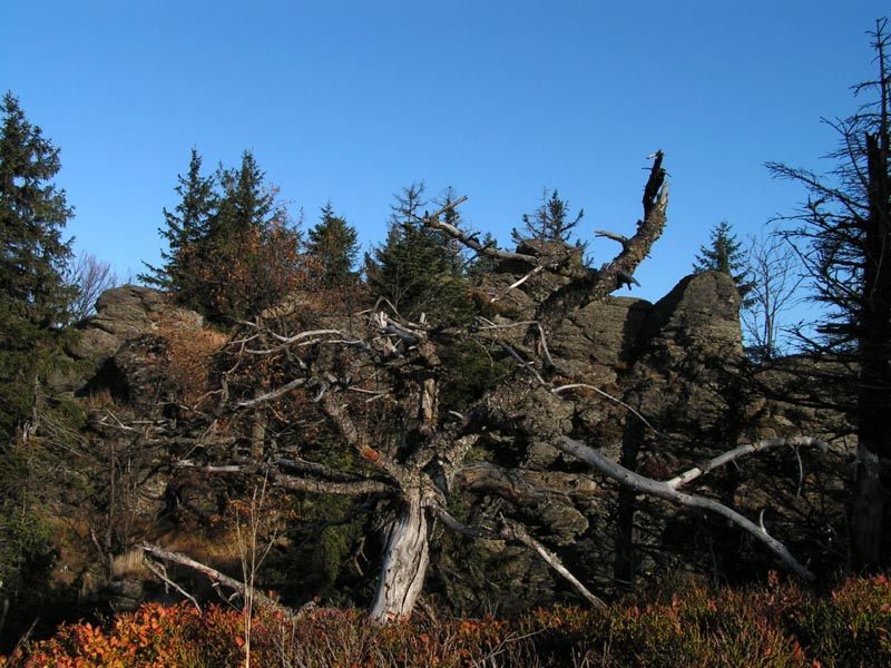 Kaitersberg climbing (2005) 027