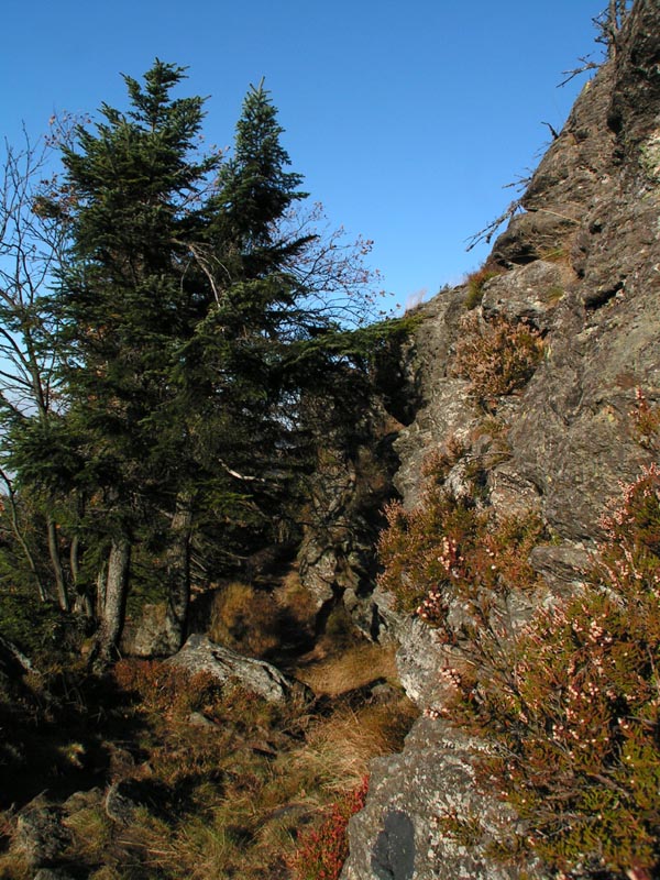 Kaitersberg climbing (2005) 116