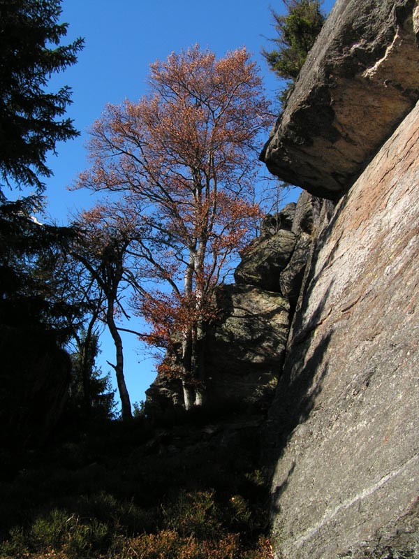 Kaitersberg climbing (2005) 168