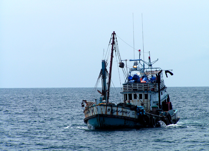 Thailand - Koh Phi Phi 06