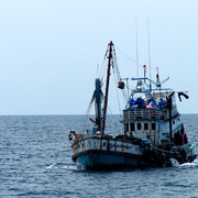 Thailand - Koh Phi Phi 06