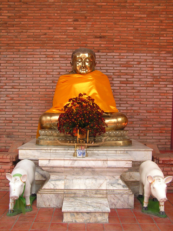 Thailand - Ayuthaya - Happy Fat Buddha with pigs