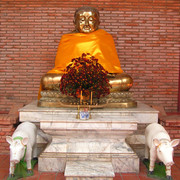 Thailand - Ayuthaya - Happy Fat Buddha with pigs