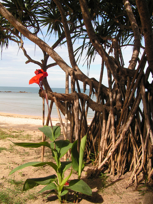 Thailand - Koh Lanta 10