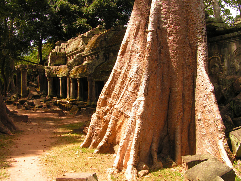 Cambodia - Angkor Thom temple 01
