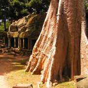 Cambodia - Angkor Thom temple 01