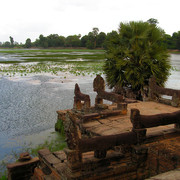 Cambodia - Angkor wat 15