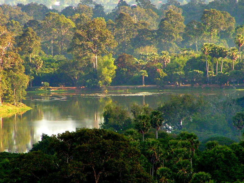 Cambodia - Angkor wat 19