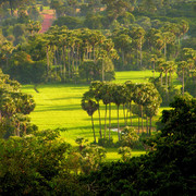 Cambodia - Angkor wat 21