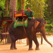 Elephant riding in Cambodia