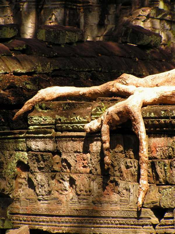 Cambodia - Ta Prohm Temple 02