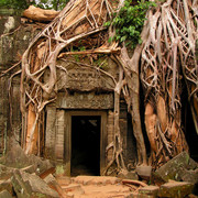 Cambodia - Ta Prohm Temple 05