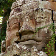 Cambodia - Buddha head in Angkor wat area