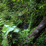 Cameron Highlands jungle trekking photos