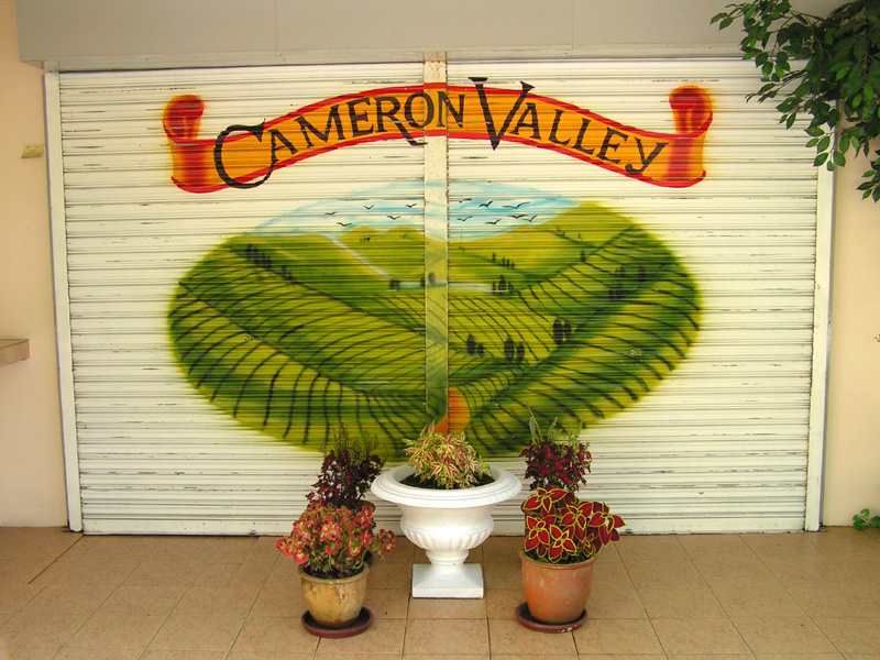 Malaysia - Cameron Valley