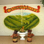 Malaysia - Cameron Valley