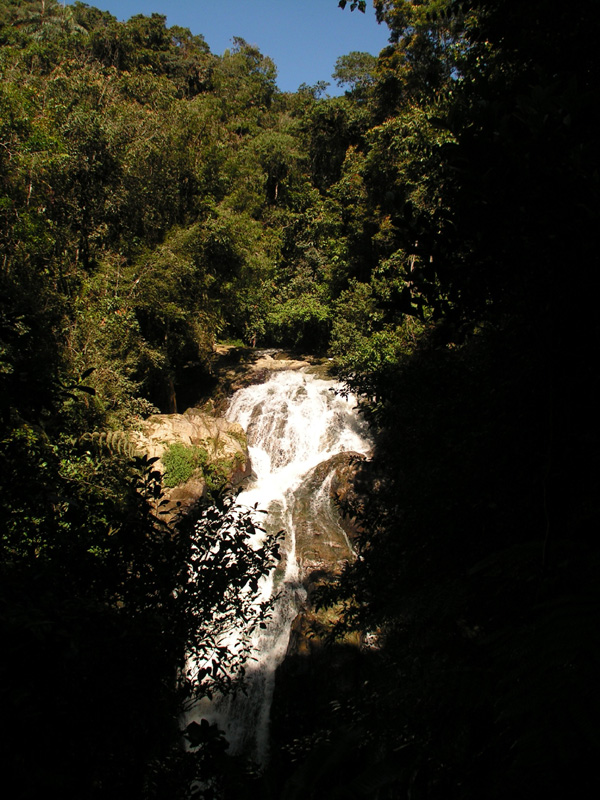 Malaysia - jungle trekking in Cameron Highlands 03