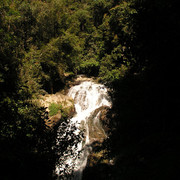 Malaysia - jungle trekking in Cameron Highlands 03