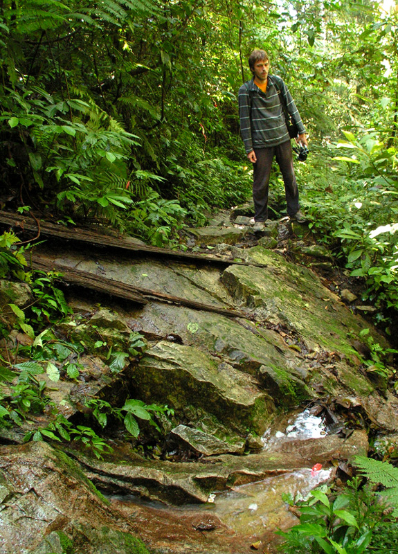 Malaysia - jungle trekking in Cameron Highlands 04