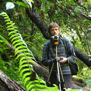 Malaysia - jungle trekking in Cameron Highlands 06