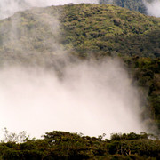 Malaysia - jungle trekking in Cameron Highlands 08