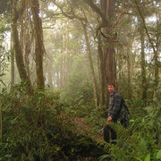 Malaysia - jungle trekking in Cameron Highlands 09