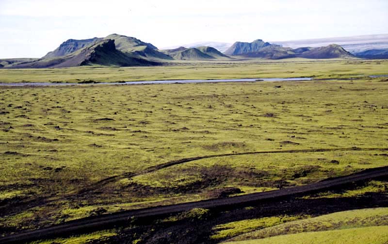 Icelandic lava field