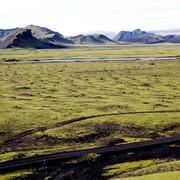 Icelandic lava field
