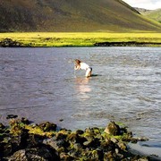 Paula crossing an Icelandic glacier river