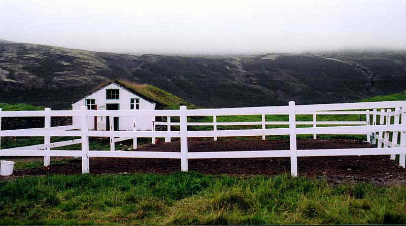 An Icelandic house