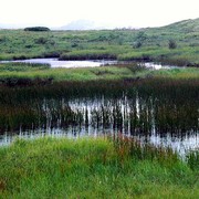 Pingvellir national park 01