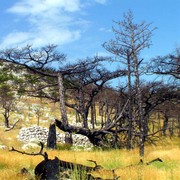 Burned Hvar slopes