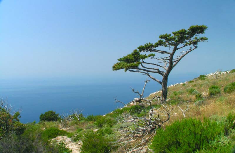 View to the Hvar bay