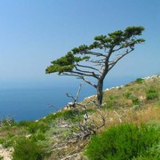 View to the Hvar bay