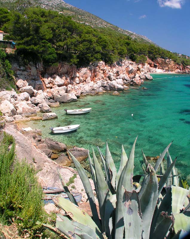 Beach near the camp