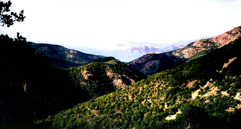 Corsica 03