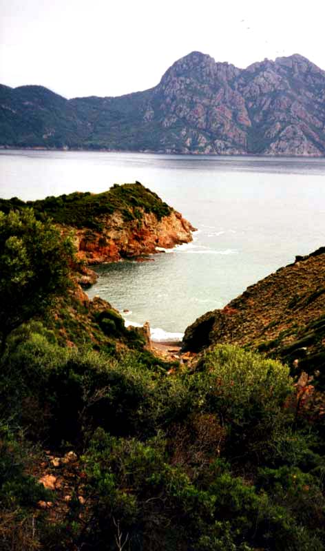 Corsica 12