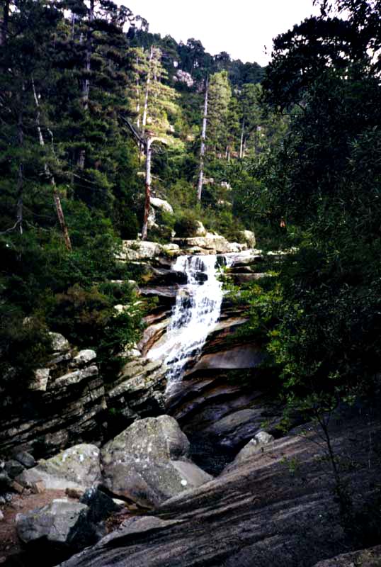 Cascades des Anglais 04