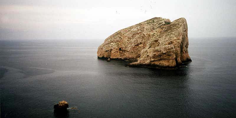 Near by Capo caccia