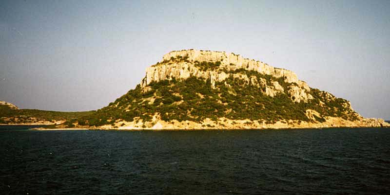 Island near by Olbia