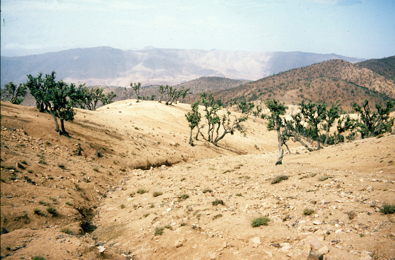 Marocco - The Atlas mountains