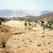 Marocco - The Atlas mountains